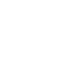 Governance Gaps
