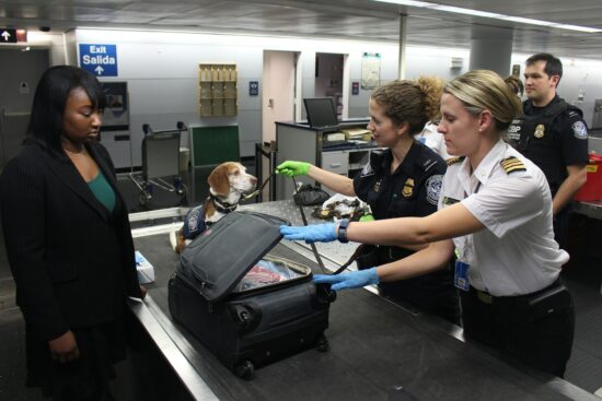 This 2017 photograph depicted a Centers for Disease Control and Prevention (CDC) Quarantine Station, Public Health Officer, as she was conducting inspections of CDC-regulated items. This type of activity takes place at 18-United States international airports, and land ports of entry, where most international travelers arrive. In this image, captured at Chicago’s O’Hare International Airport, Enya, a Customs and Border Protection (CBP) dog, had sniffed out a possible banned item in baggage claim.