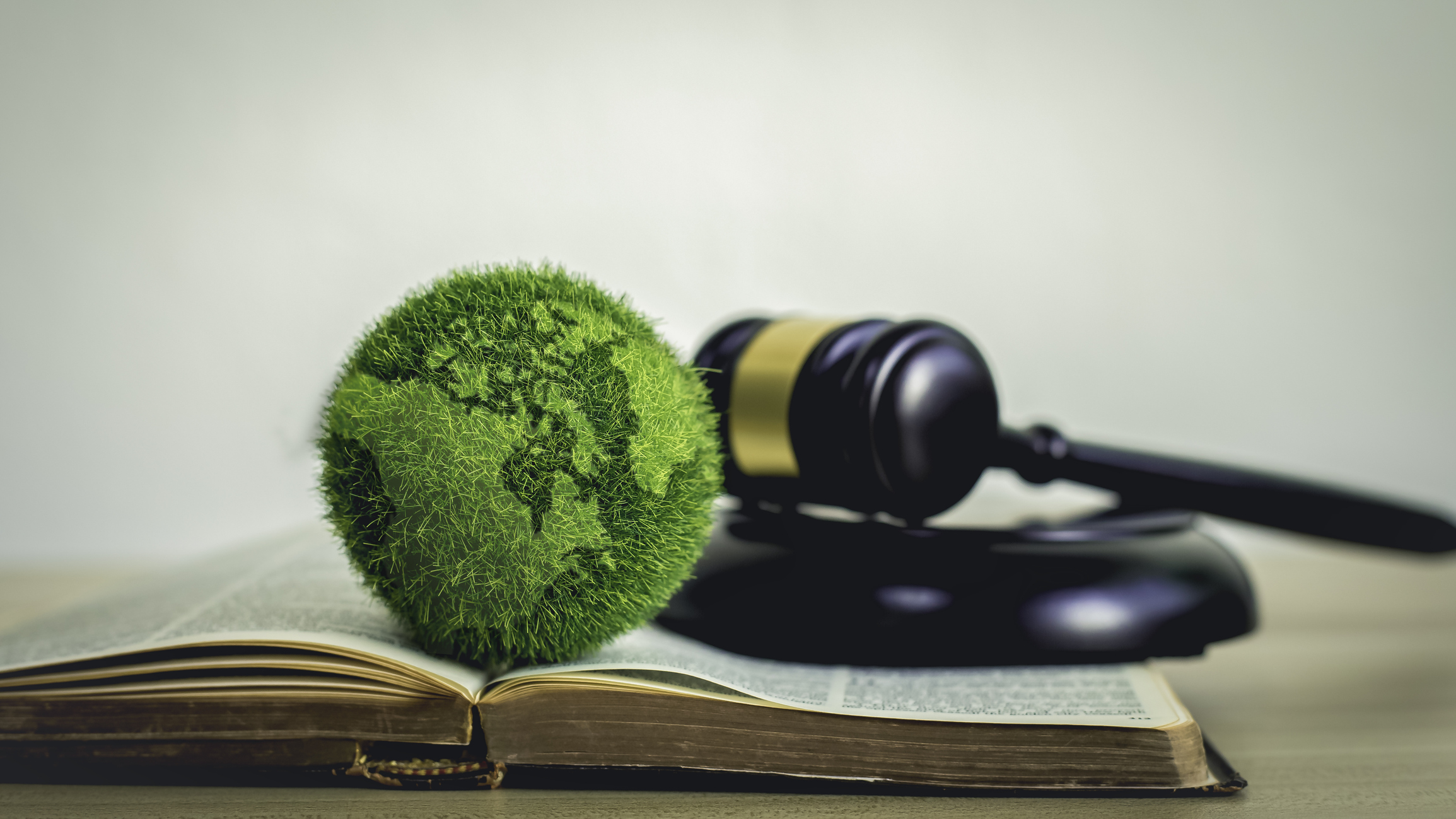the green world is in the book There is a judging hammer behind it. The concept of global natural law and environmental judgment.