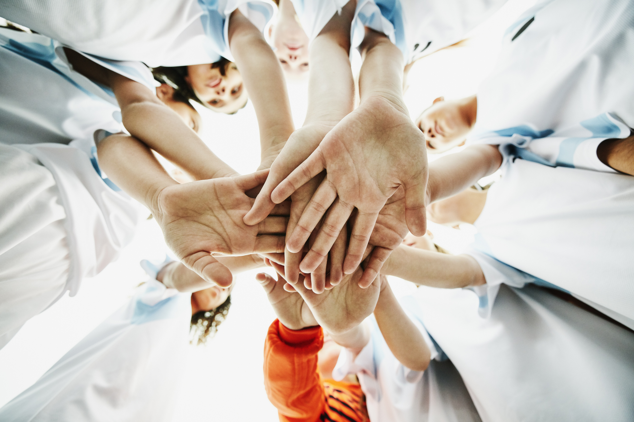 7th Circuit “Opts In” to the Evolving Collective Action Debate