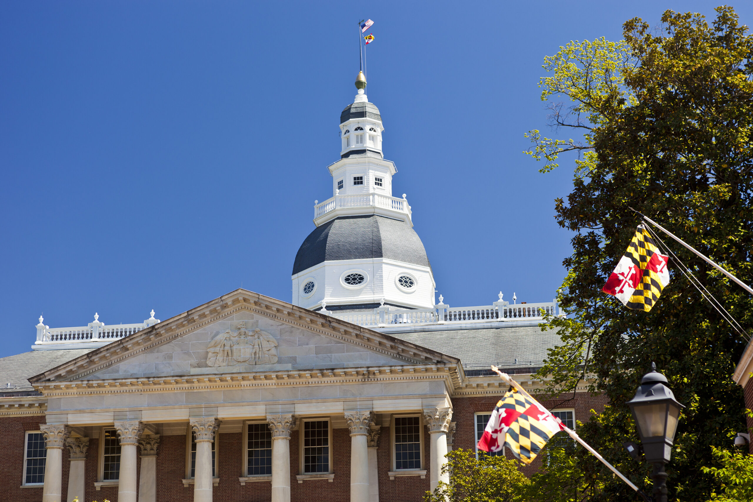Maryland Hemp Companies to Ask Fourth Circuit to Hash Out Tough Questions Regarding Hemp