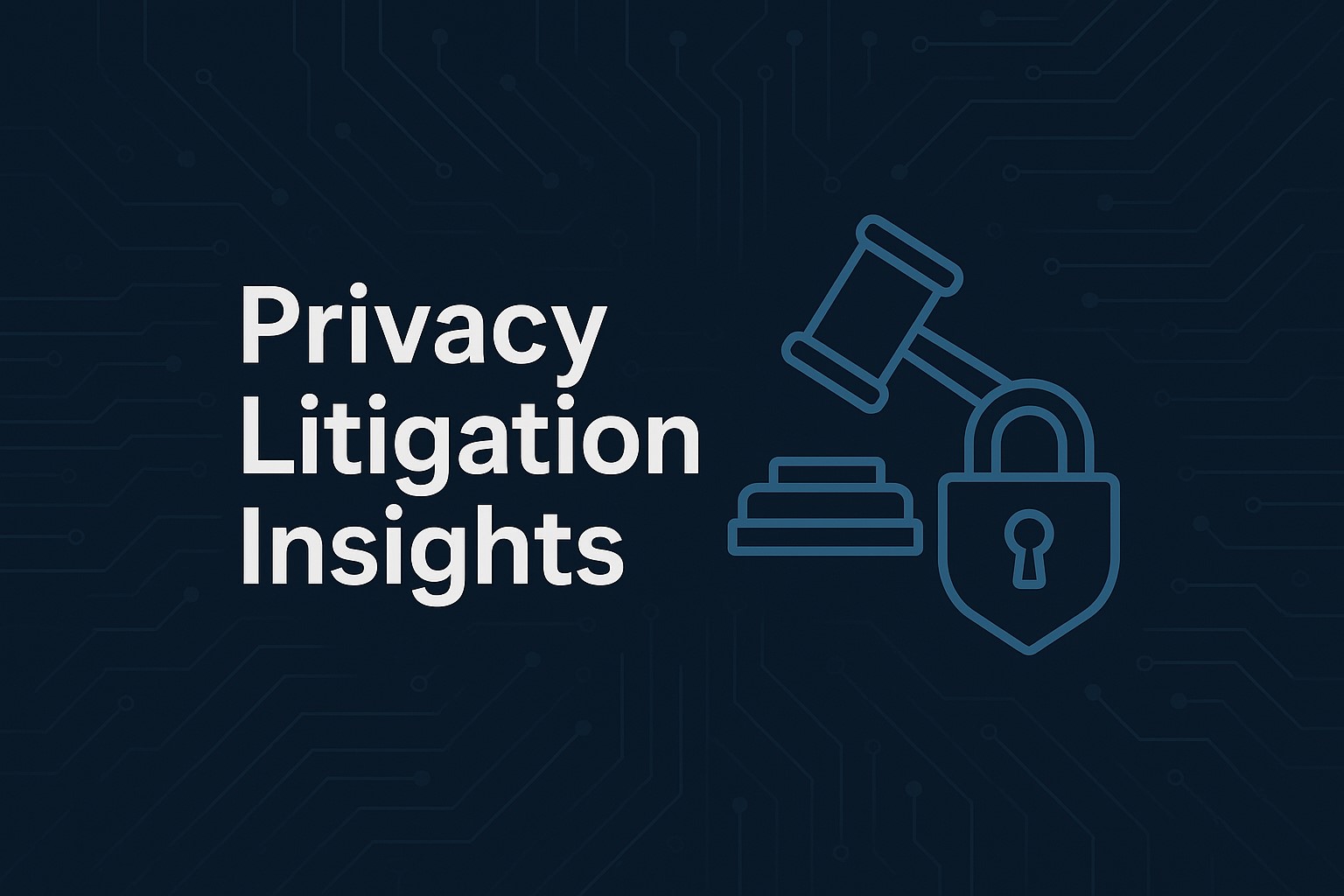 Privacy Litigation Image