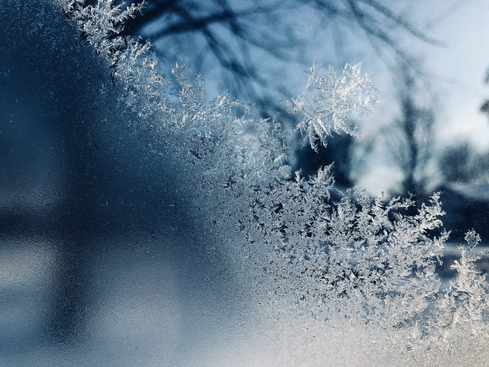 1760449474-10611-9371-lxb_photoakKqjTsmEwMlxb_photo-