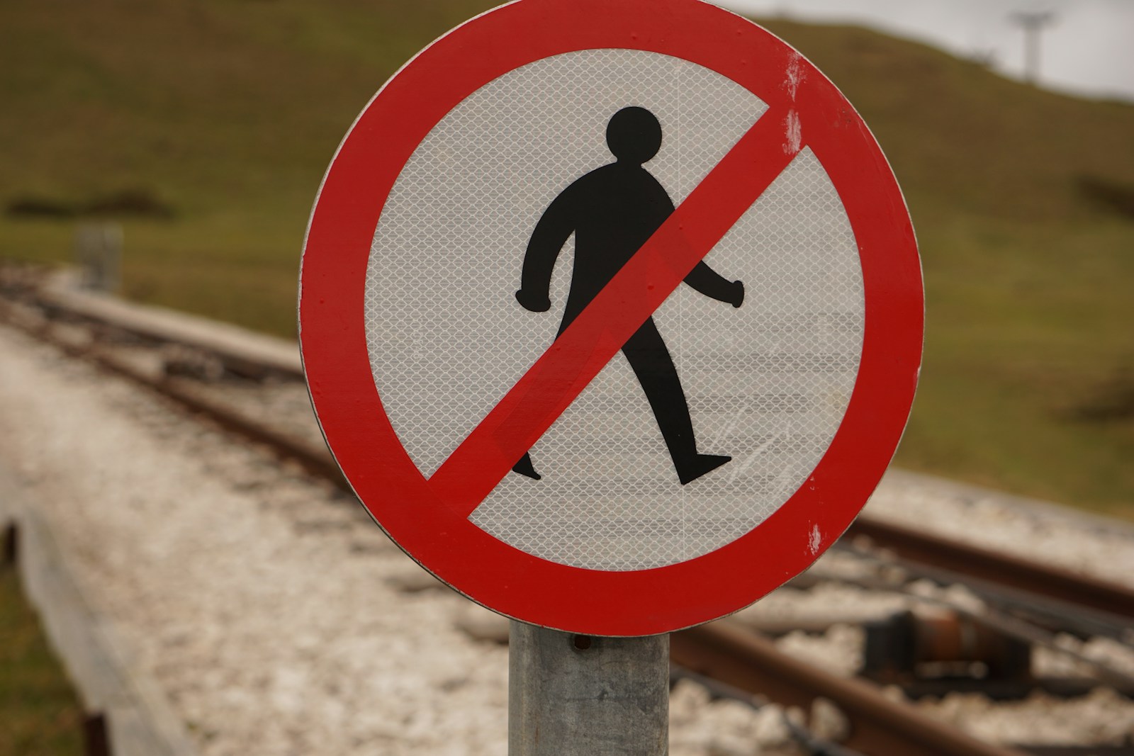 1761249003-9831-3184-lxb_photoxit3LjRvKvMlxb_photo-