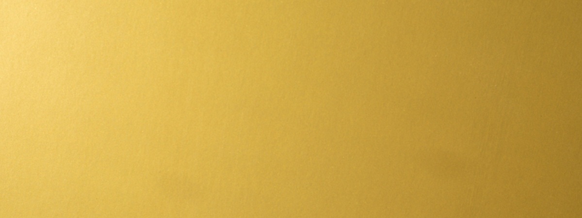 gold card Shutterstock_2278262673