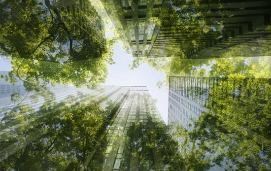 trees-merged-with-office-blocks