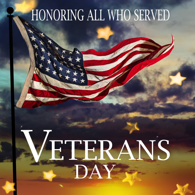 11 vet