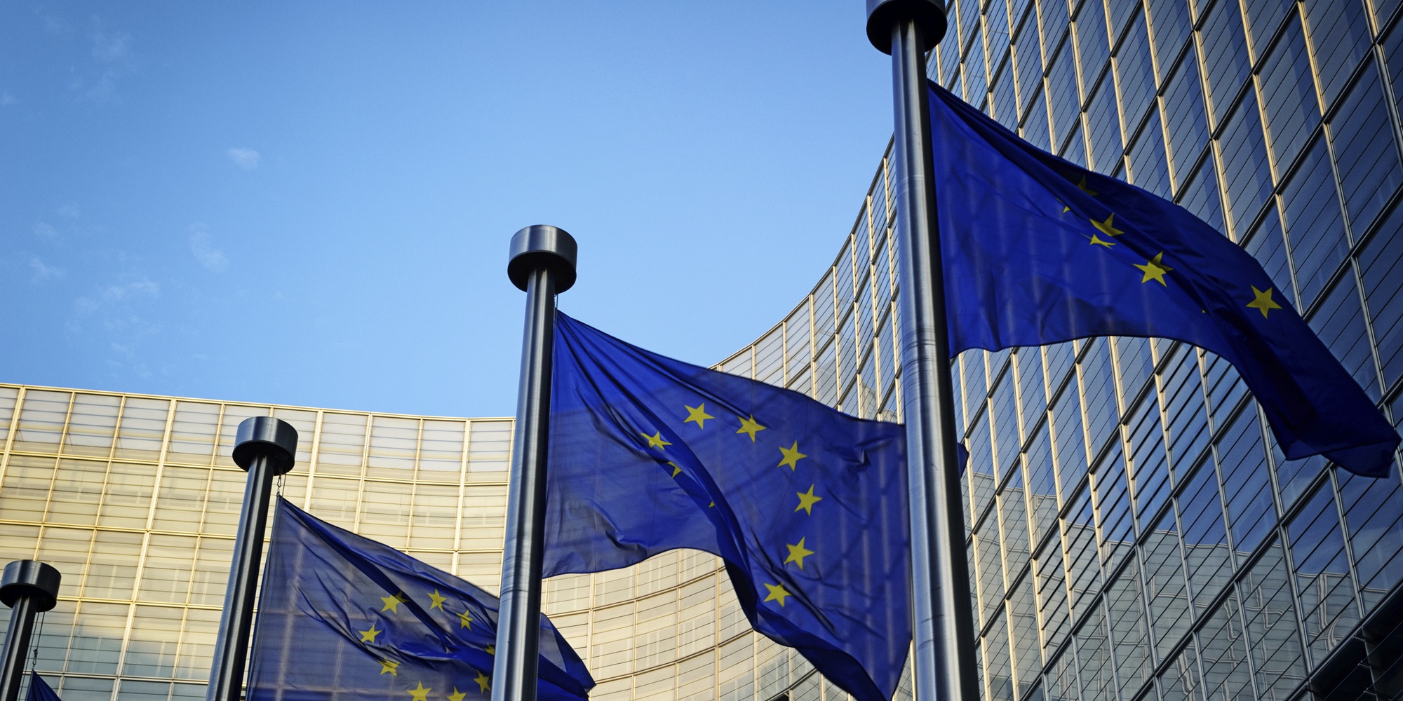 2to1 - EU Flag_185165281.jpg_13770
