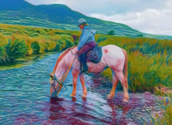https-elderlawprofblog-lexblogplatformfour-com-wp-content-uploads-sites-995-2025-11-cool-fresh-water-on-the-ring-of-kerry-irelan-2024-656x477-jpg