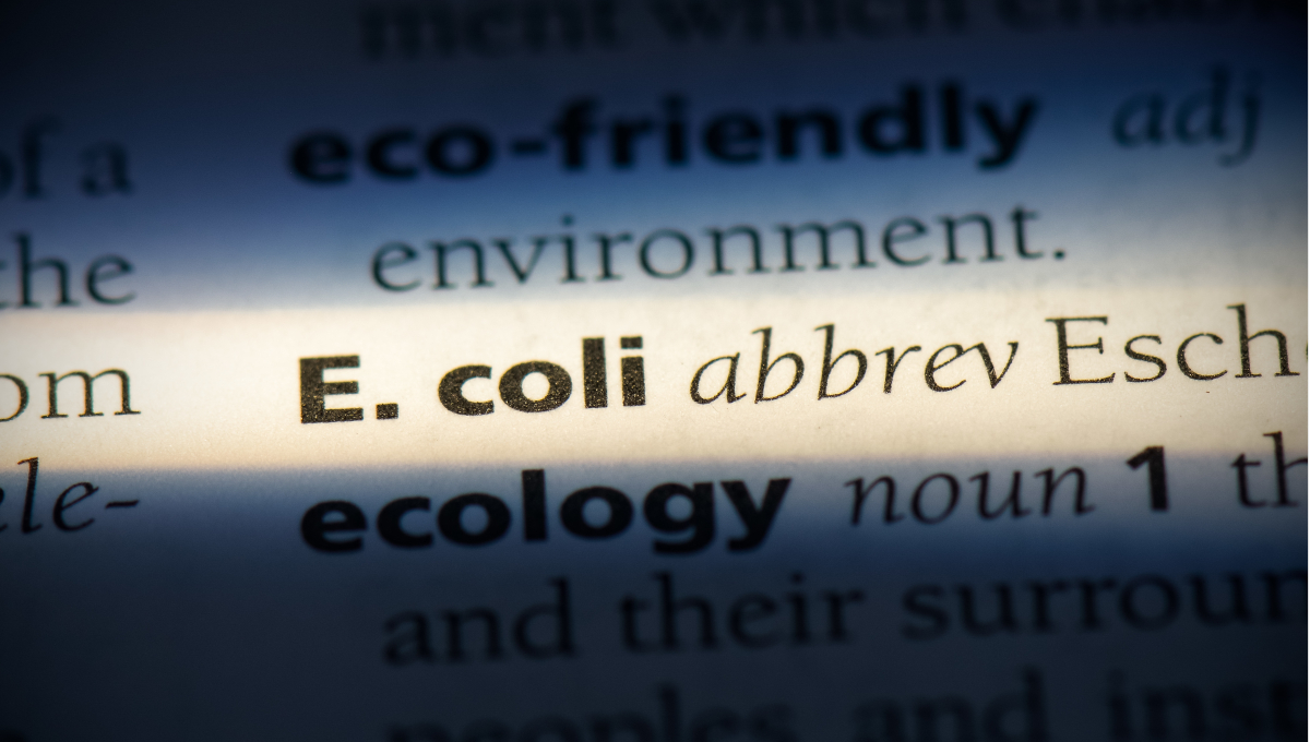 E. coli