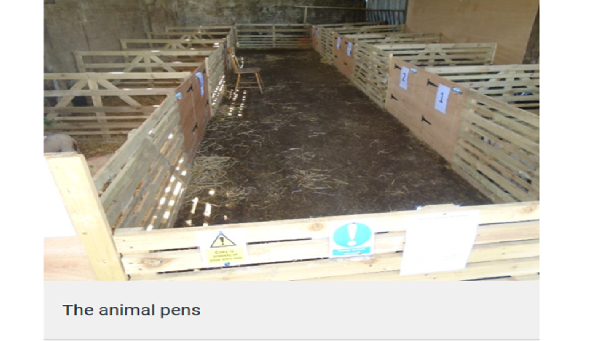 HSE fine petting farm crypto Nov 25