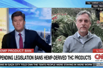 https-cannabusiness-law-wp-content-uploads-rod-kight-cnn-420x280-png