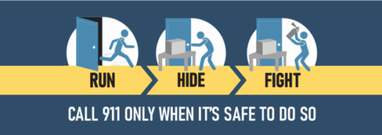 https-www-environmentalsafetyupdate-com-wp-content-uploads-sites-28-2025-11-gun-safety-656x231-png