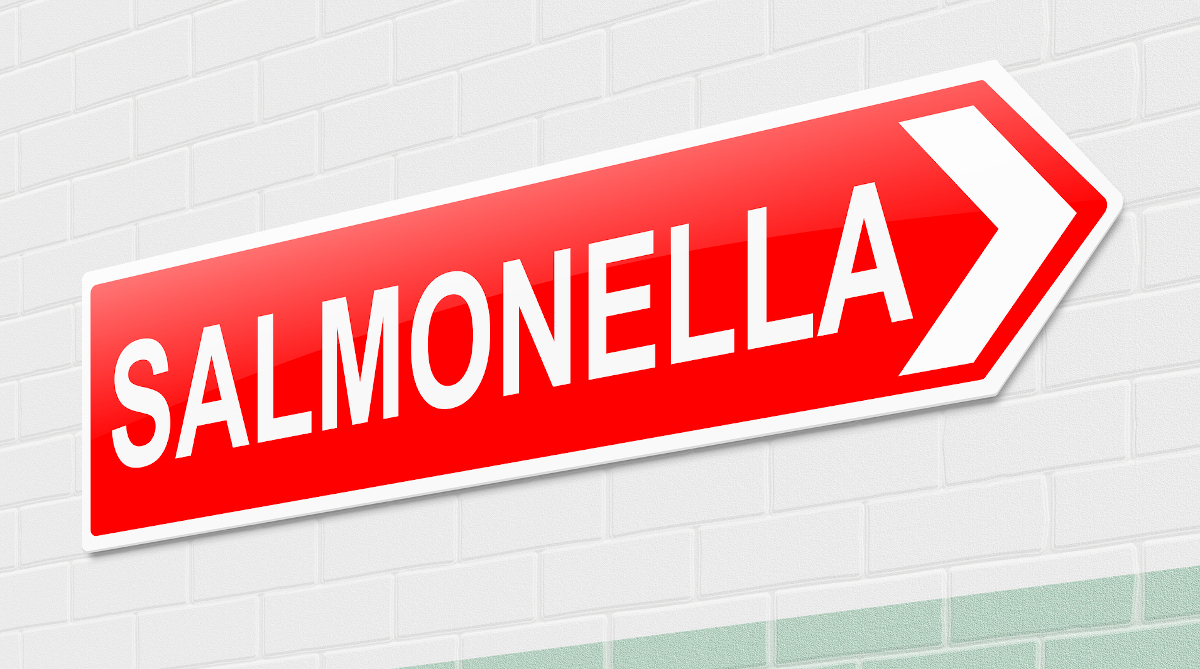 illustration Salmonella sign