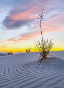 https-acoel-org-wp-content-uploads-white-sands-at-sunset-220x300-jpg