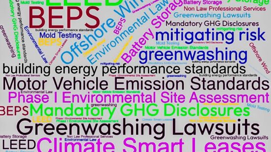Environmental Blog