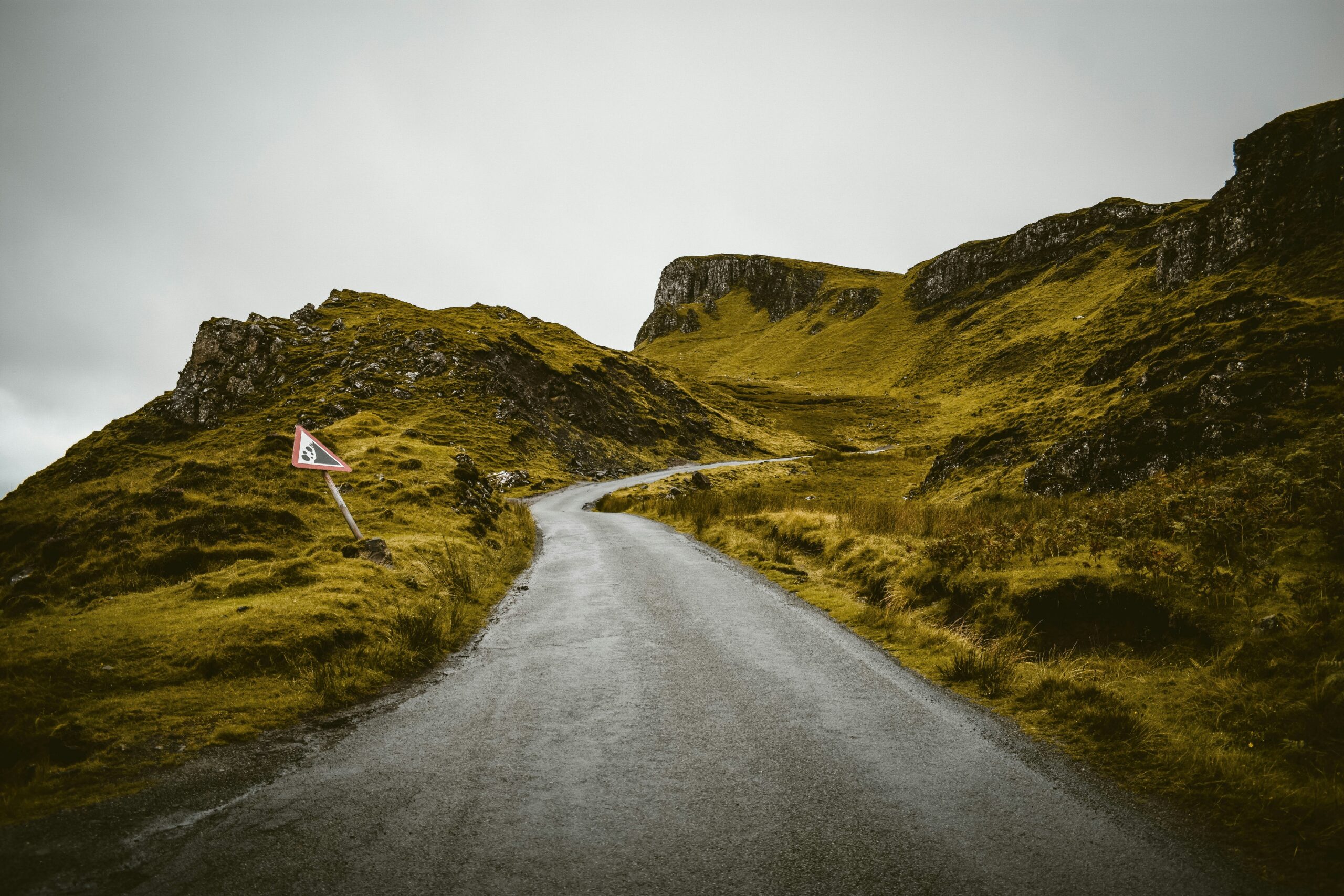 sgc-1nPiPAOON7k-unsplash