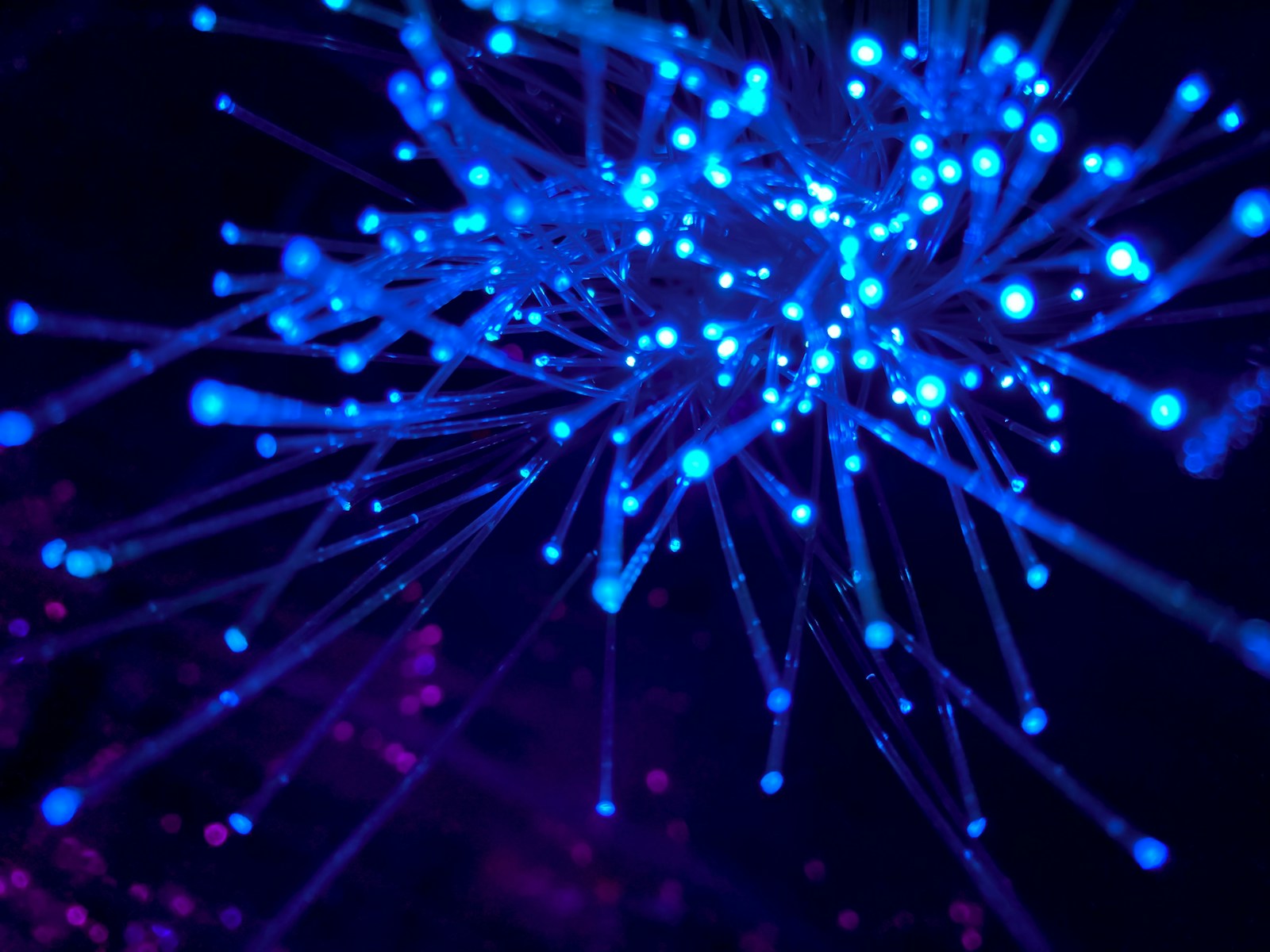 1768507314-3646135-3943-lxb_photo8bghKxNU1j0lxb_photo-