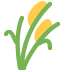 https-s-w-org-images-core-emoji-16-0-1-72x72-1f33e-png