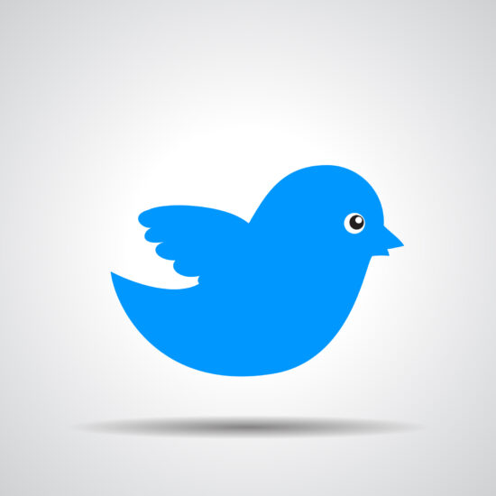Taking Flight on Another’s Wings — the Potential Abandonment of Twitter’s Iconic Trademarks