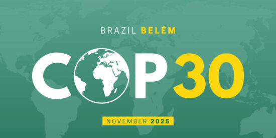 https-www-energyandthelaw-com-wp-content-uploads-sites-320-2026-01-cop30-jpg