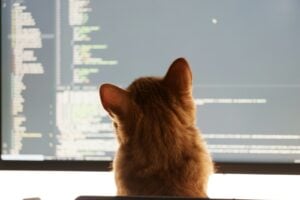 https-www-wormsandgermsblog-com-files-2026-01-sebastian-the-cat-reviews-code-1769190072-12072-7319-lxb_photokrybarbax5slxb_photo-300x200-jpg