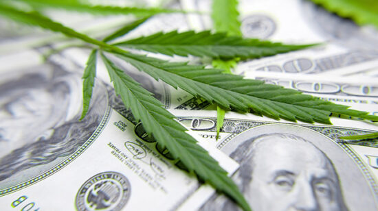 cannabisdollars
