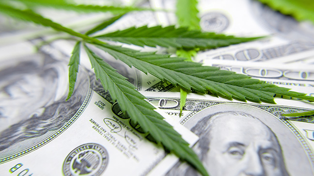 cannabisdollars