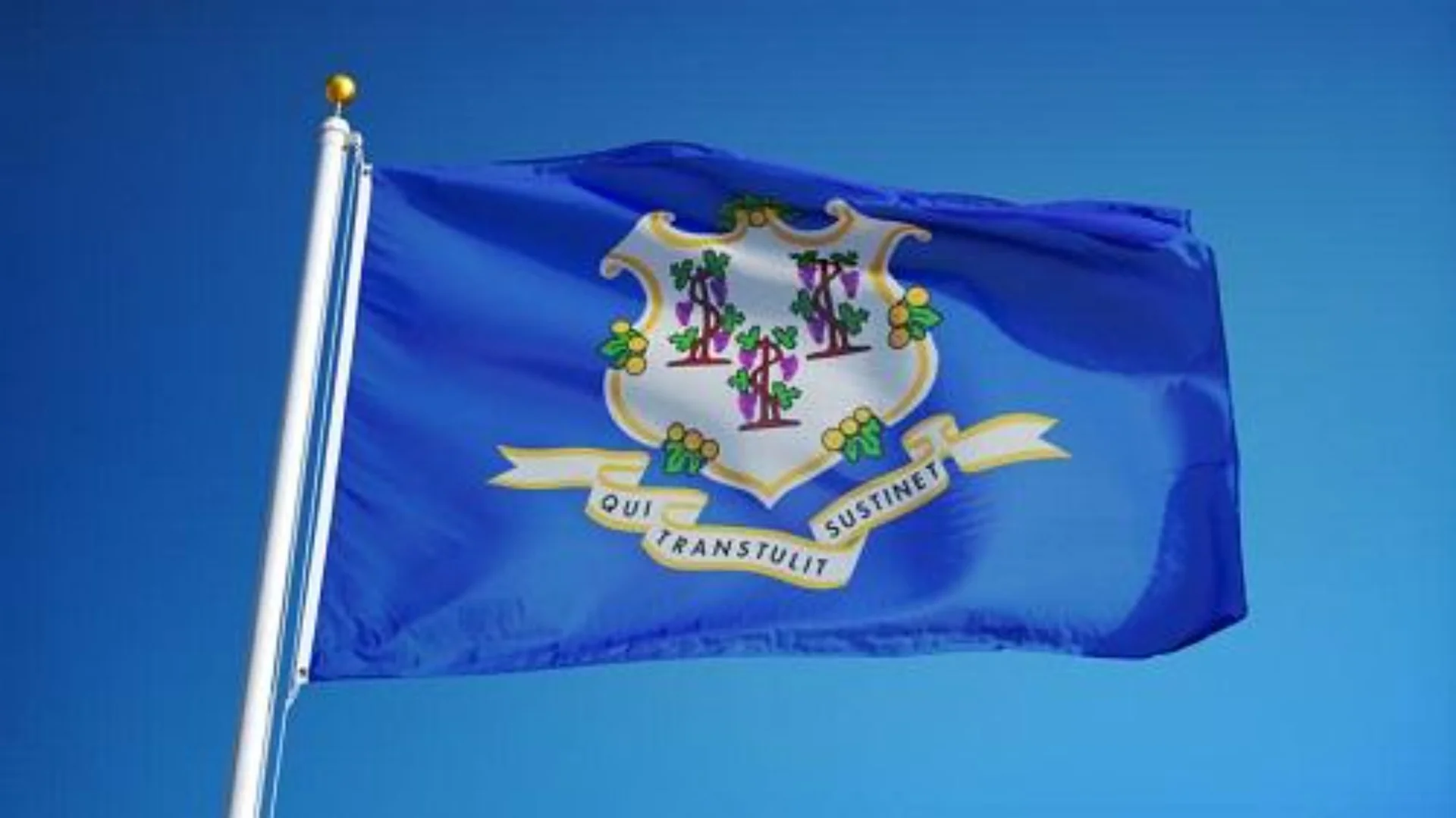 CTFlag