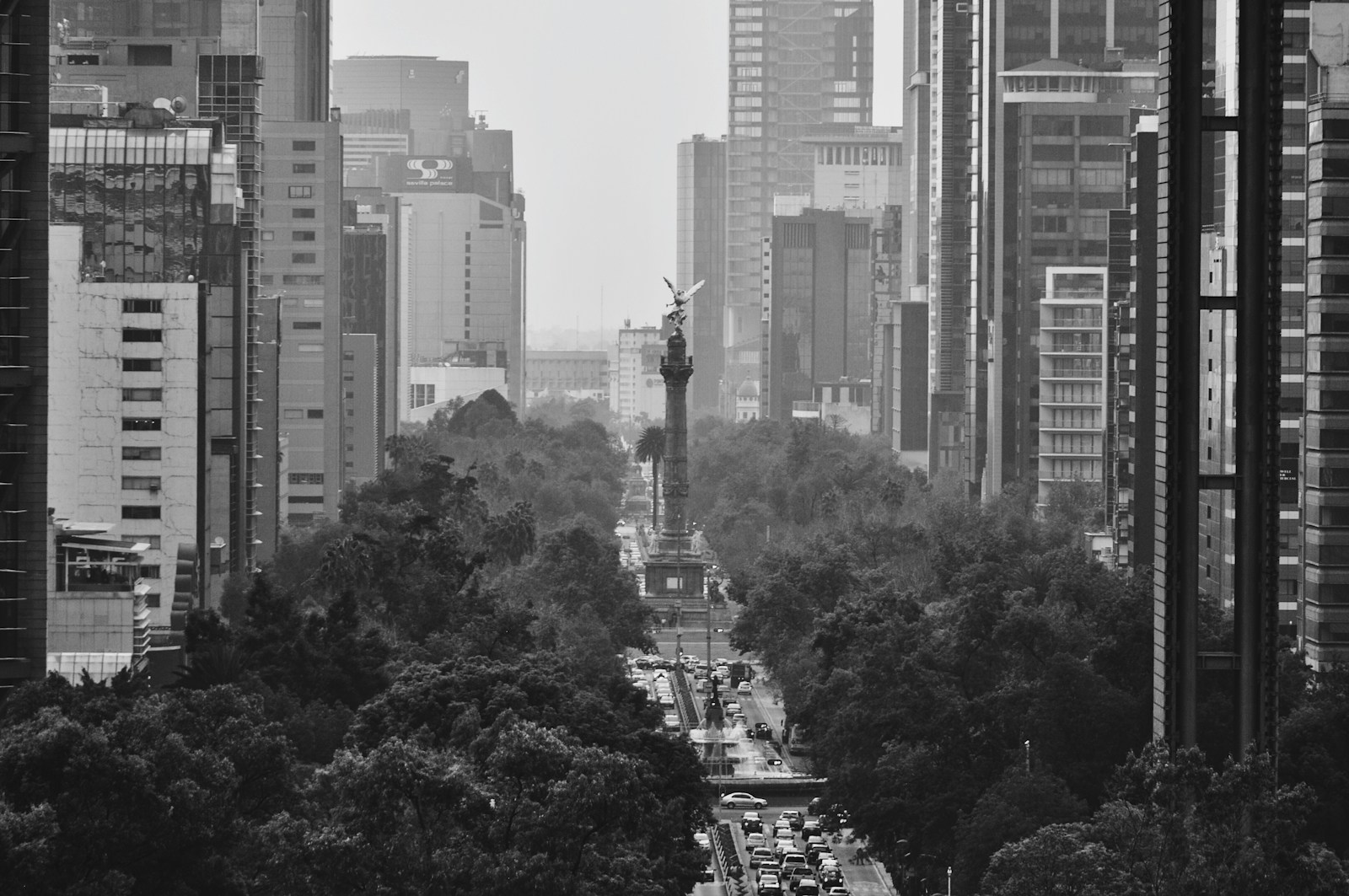 En el fin del mundo y en un despiadado país de maravillas.