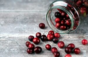 https-www-wormsandgermsblog-com-files-2026-02-jar-and-cranberries-selective-focus-1770935465-12130-7308-lxb_photo0tfxokhft14lxb_photo-300x195-jpg