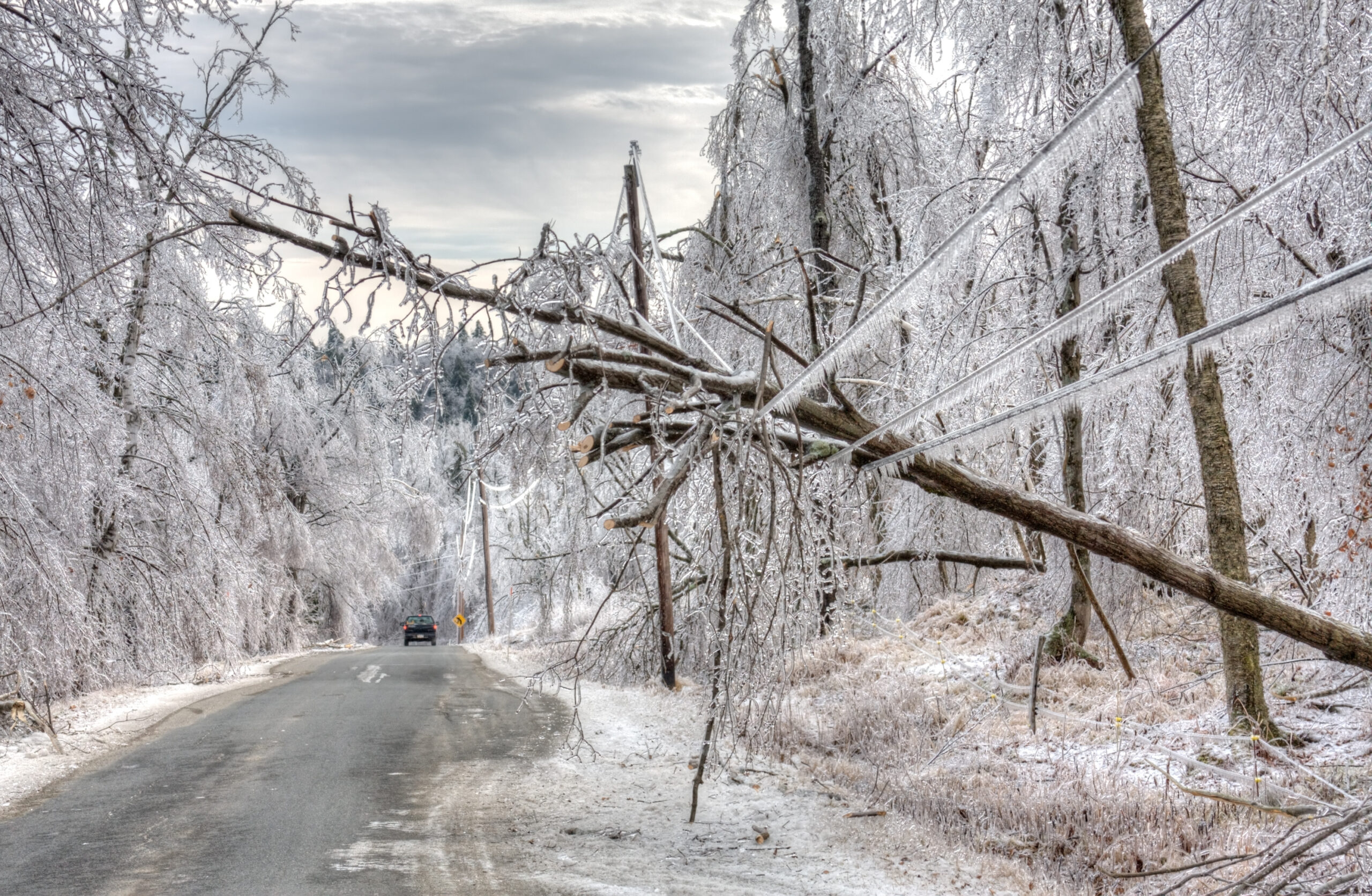 As Winter Storm “Fern” Thaws, Take Note of Keys to Insurance Recovery