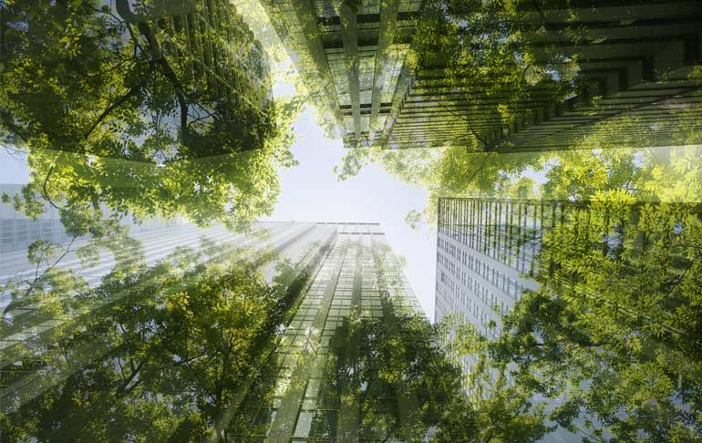 trees-merged-with-office-blocks
