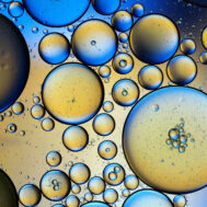 https-www-bigmoleculewatch-com-wp-content-uploads-sites-2-2023-10-lsh-g062-1357723046-189x189-jpg