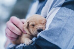 https-www-wormsandgermsblog-com-files-2026-04-1776966458-12217-3705-lxb_photoaovflqct9wslxb_photo-300x200-jpg