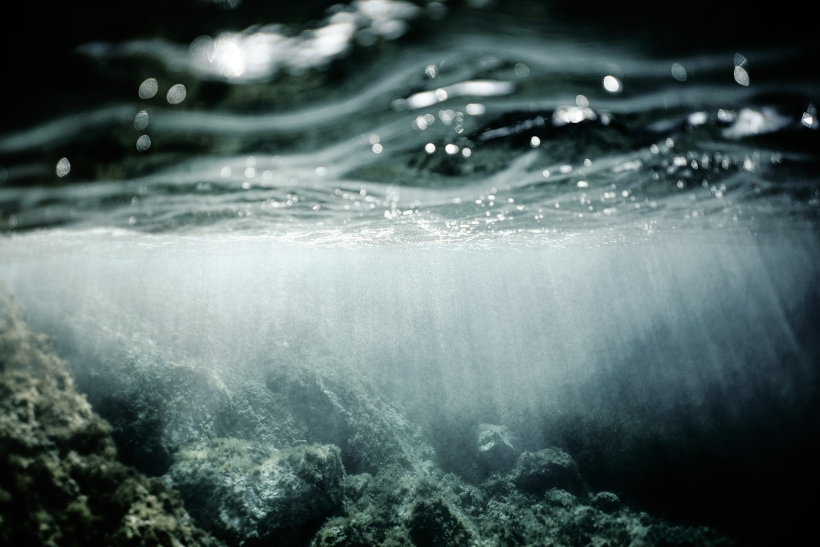 Diving experiences