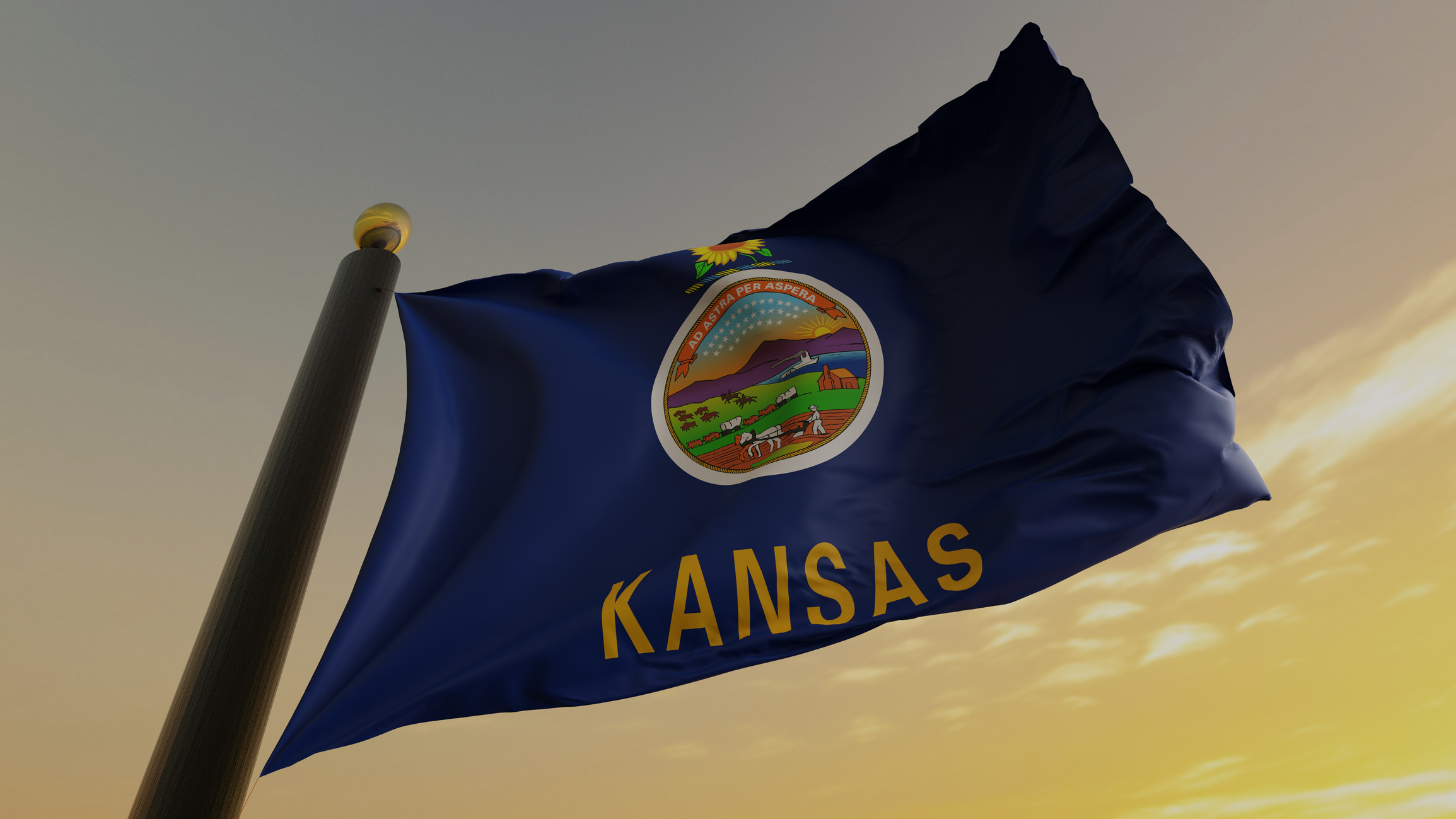 Bid Protests in Kansas