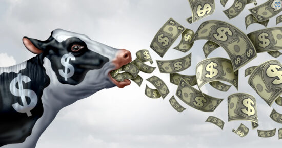 http-www-stloiyf-com-blog-content-public-upload-cashcow_0_o-jpg