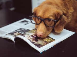 https-www-wormsandgermsblog-com-files-2026-05-1778681705-12247-6248-lxb_photomodcnvrn5julxb_photo-300x225-jpg
