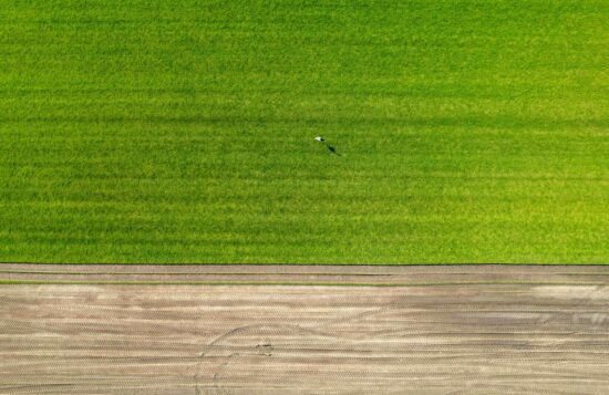 Aerial view of agricultural fields showing distinct sections of green and brown soil. The fields are divided into symmetrical patterns with clear lines indicating different stages of cultivation. A small structure, possibly a shed or equipment storage, is visible on one of the brown sections. The image highlights the organized and methodical approach to farming from a top-down perspective.