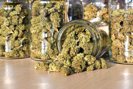 https-www-restructuring-globalview-com-wp-content-uploads-sites-21-2026-05-dry-and-trimmed-cannabis-buds-istock-886010078-580x387-jpg