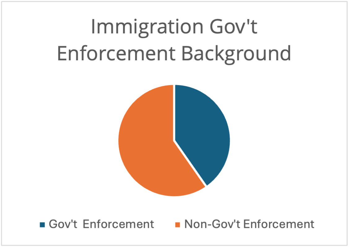 Immigration Gov't Enforcement Background