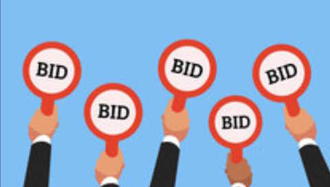 https-bresslerriskblog-com-wp_bresslerriskblog-wp-content-uploads-2024-10-2024_auction_bid-jpg