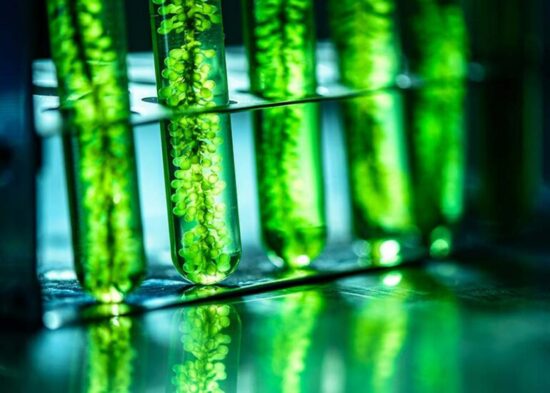 https-insideeulifesciencesredesign-covingtonburlingblogs-com-wp-content-uploads-sites-48-2026-06-talking_life_sciences_1000x714-1-770x550-jpg