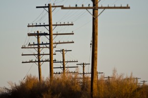https-www-ruralspectrumscanner-com-wp-content-uploads-2015-06-bigstock-utility-poles-standing-in-the-75324277-302x200-jpg