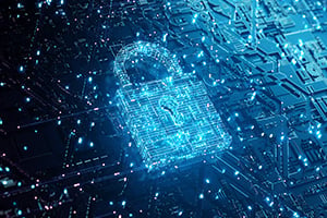 Data Protection Padlock