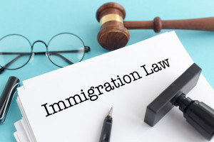 Loper Bright and Immigration Law: Why Every Immigration Lawyer Should Be Using It in Every Case 25 Loper Bright immigration law