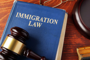 birthright citizenship H-1B parents, U.S.-born child undocumented parents citizenship, Fourteenth Amendment Citizenship Clause, Wong Kim Ark birthright citizenship, Executive Order 14160 birthright citizenship