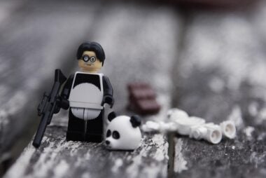 https-edlaw4students-com-wp-content-uploads-2026-06-profoto0023-lego-7118272_640-e1781578695611-jpg