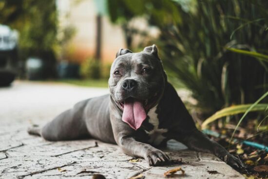 https-images-squarespace-cdn-com-content-v1-667c5c646711b639222b1950-1780429315696-o12kkqakbj2n1n9s9a6d-unsplash-image-ocz-_y7-ptg-jpgformat1000w